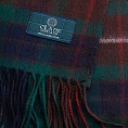 картинка Clans of Scotland Fraser Hunting от магазина  Mykilt